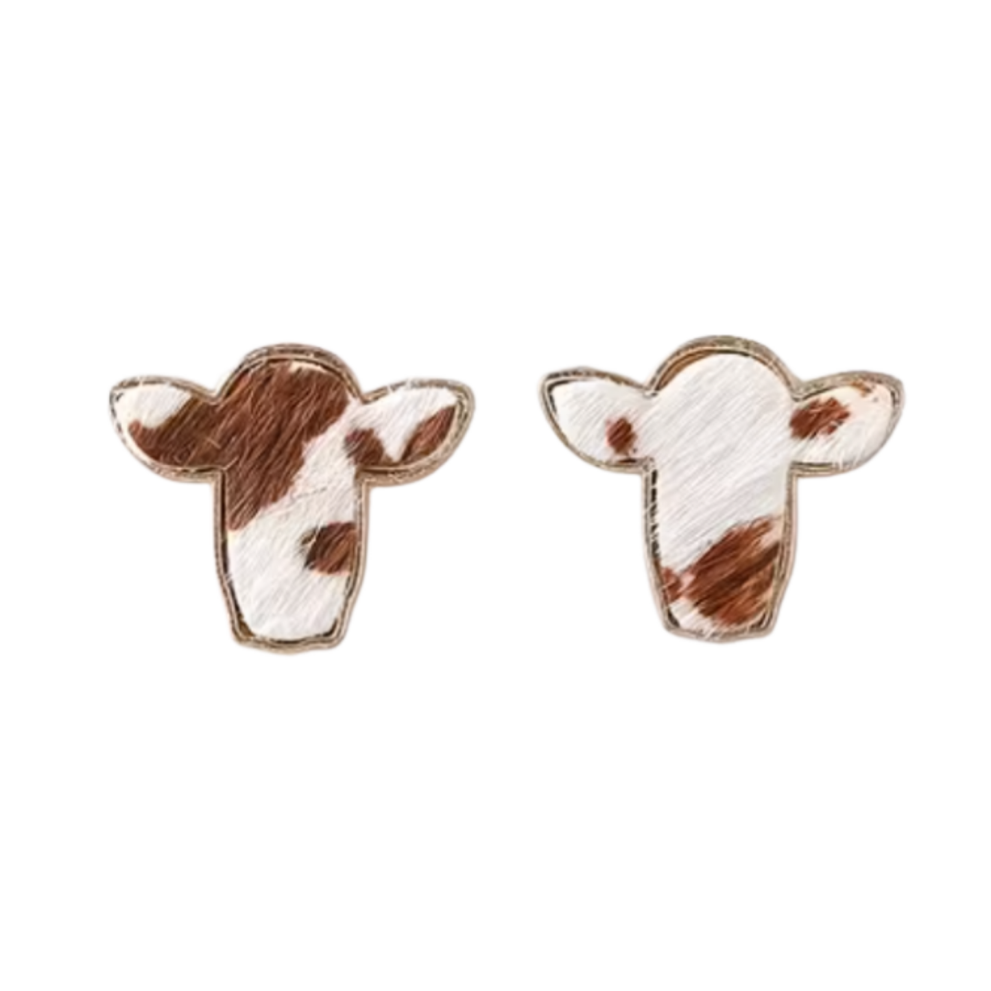 Western Desert Brumby Studs