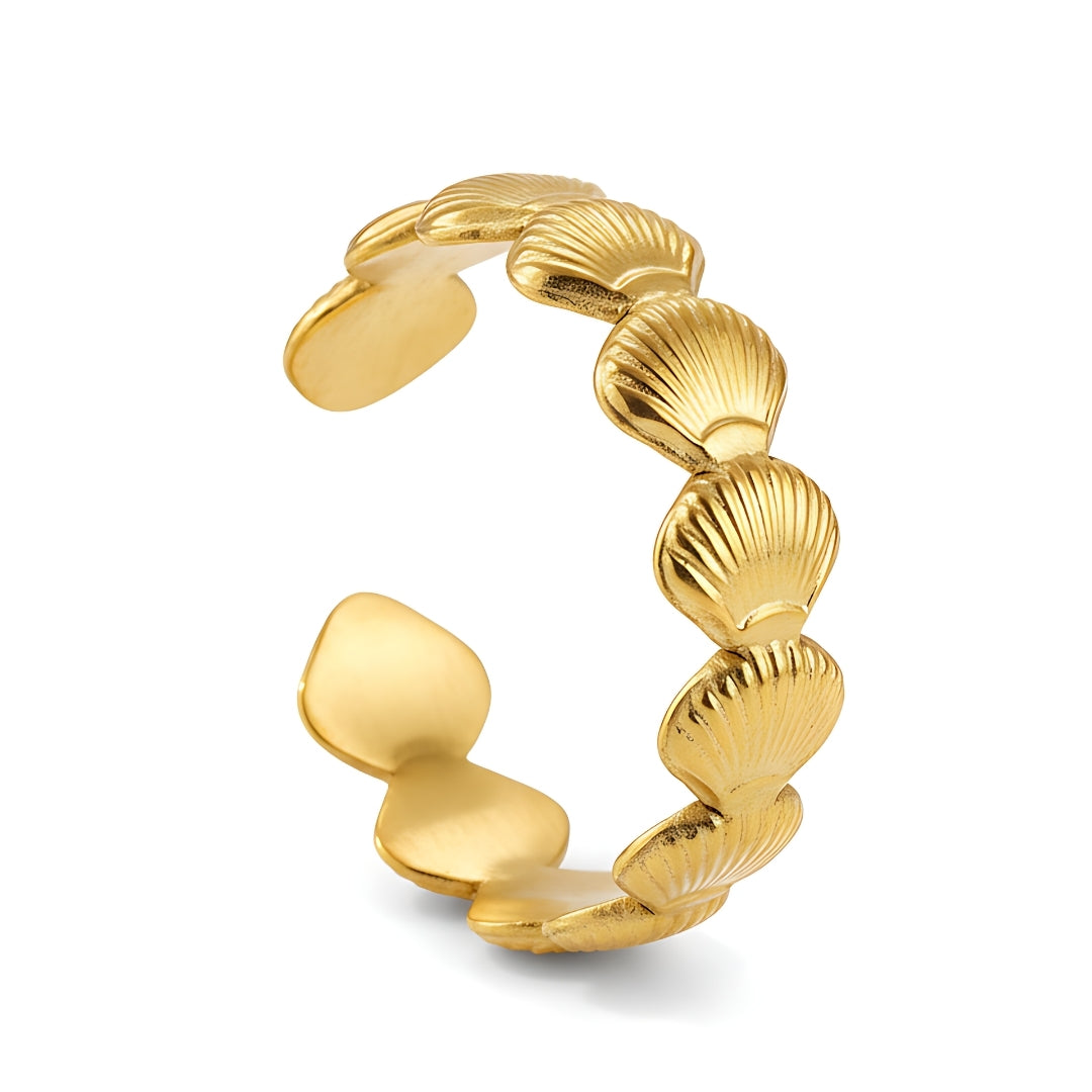 Byron Shell Band Perth Australia Houseofhide photographed in warm natural light highlighting shell textures and polished shine.