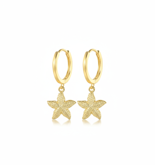 Golden Reef Starfish Hoops Perth Australia House of Hide gold earrings with zircon-studded starfish charms