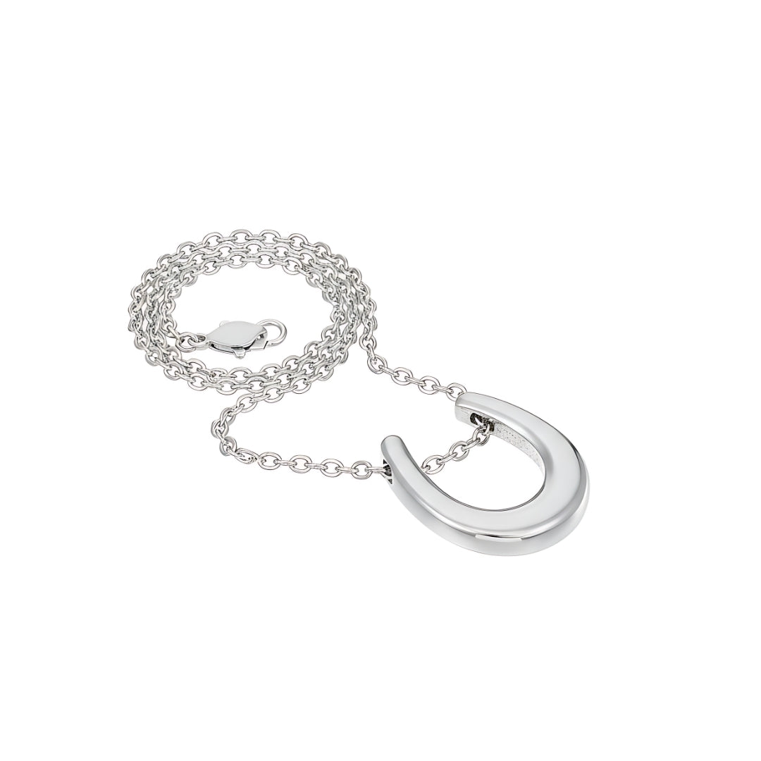 Horseshoe Horizon Necklace Perth Australia Houseofhide photographed in soft light revealing reflective gold tone and fine chain.