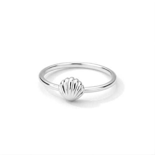 Silver Shoreline Ring Perth Australia House of Hide silver stainless steel ring with delicate seashell coastal design