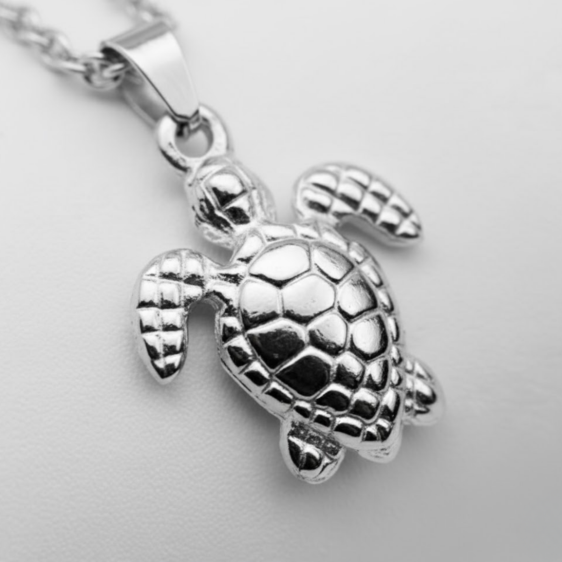 Silver Turtle Necklace Perth Australia Houseofhide coastal themed product shot highlighting the turtle charm