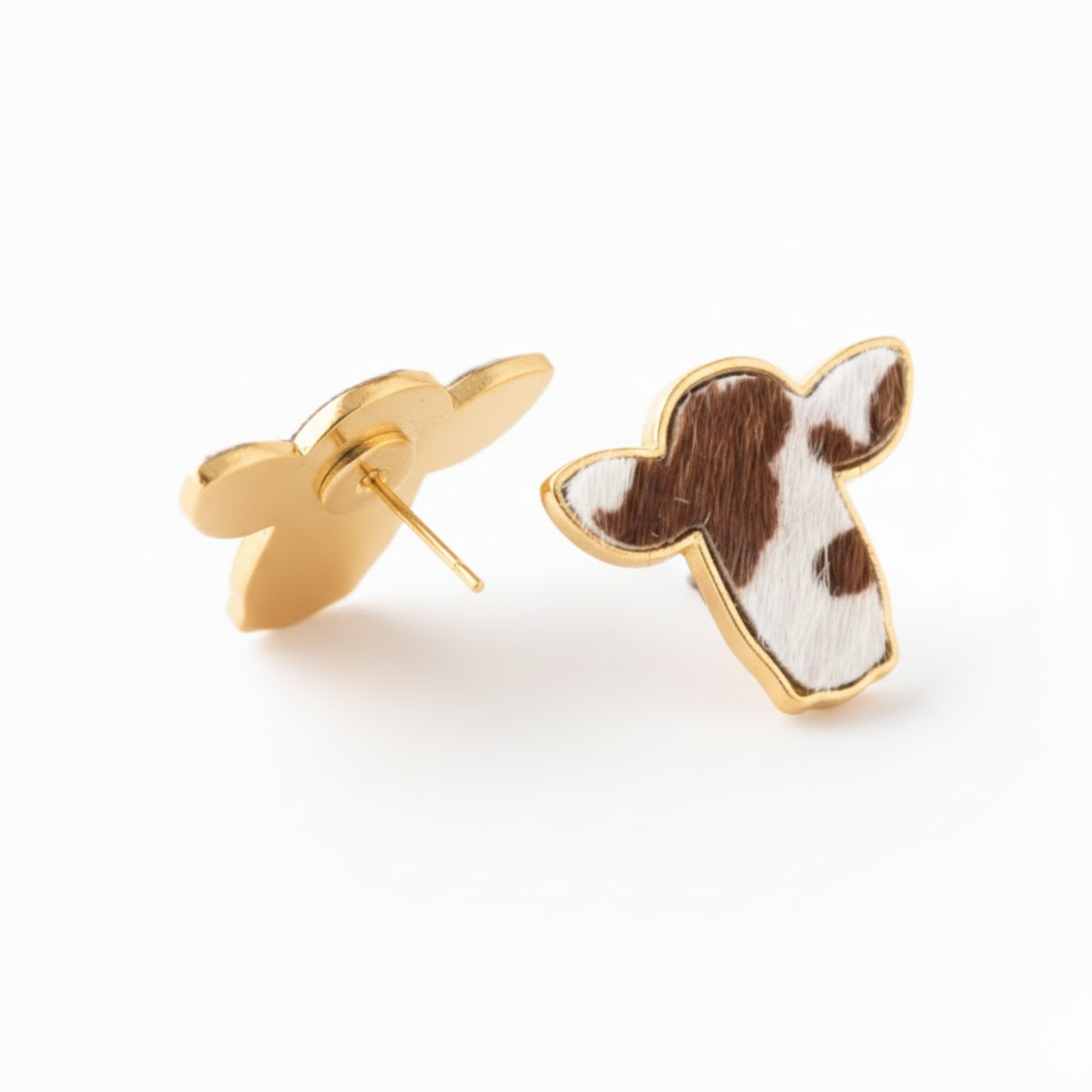 Western Desert Brumby Studs