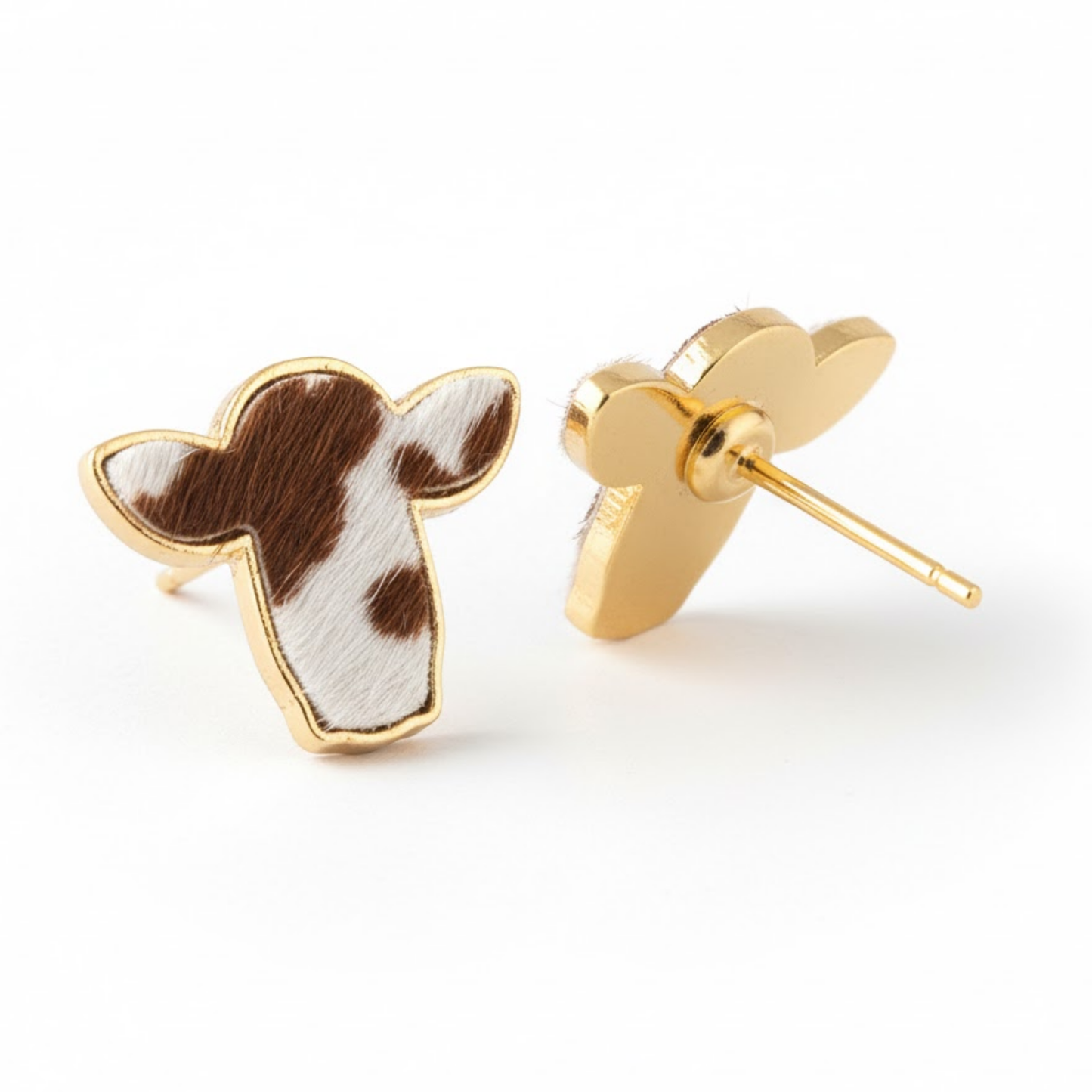 Western Desert Brumby Studs