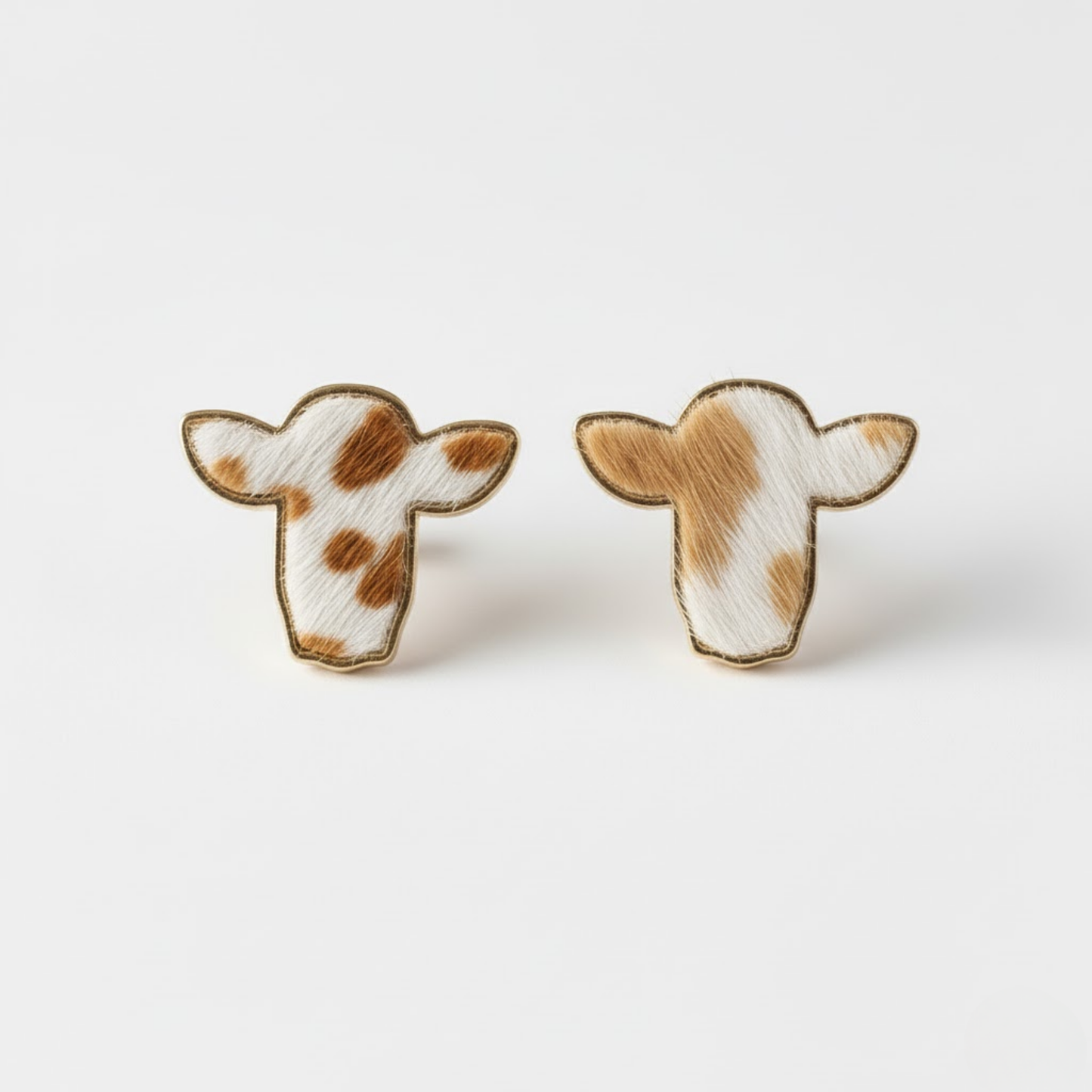 Western Golden Wattle Studs