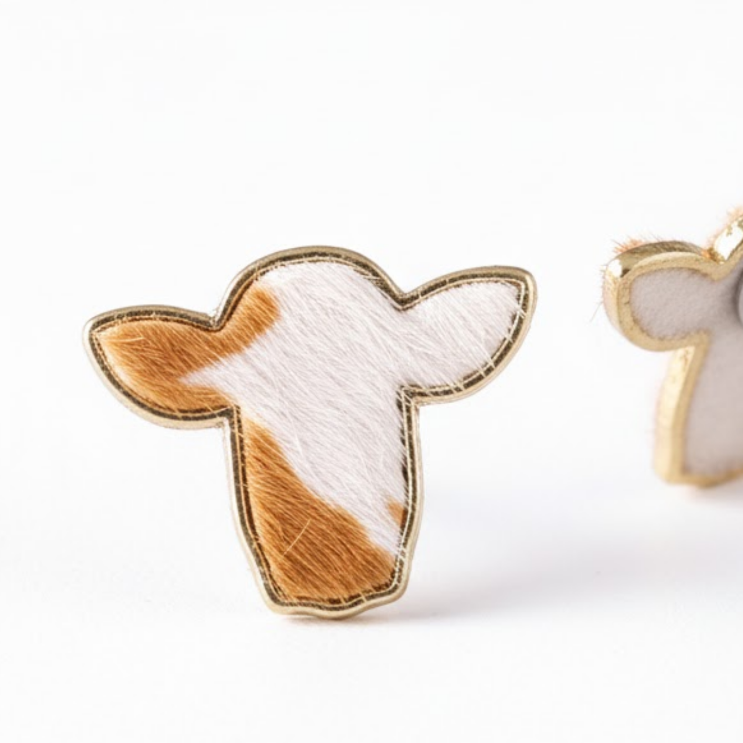 Western Golden Wattle Studs