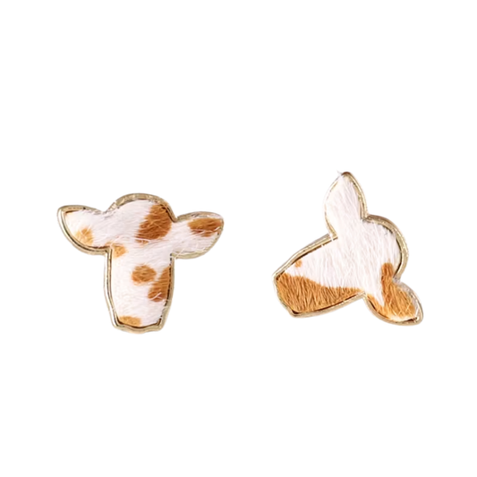 Western Golden Wattle Studs