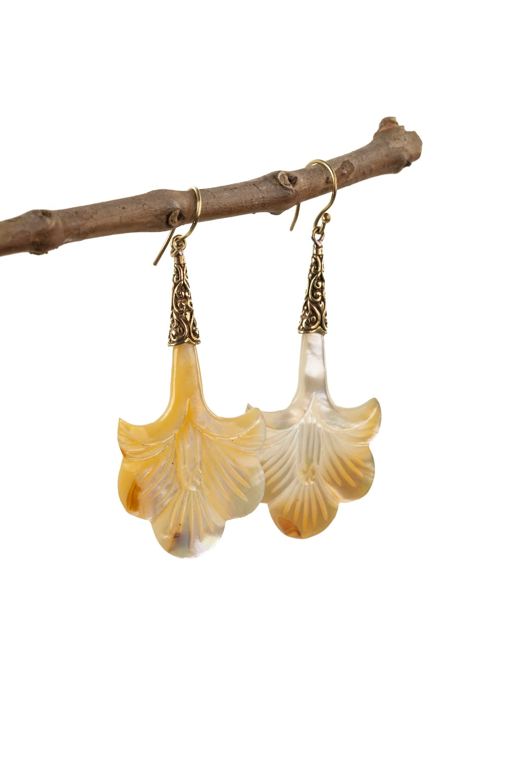 Close-up of shell fan earrings hanging from a natural branch